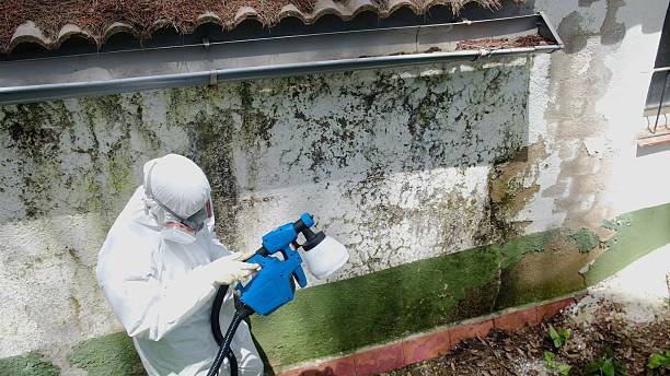 Trusted Bathroom Mold Removal service in Stone Mountain, GA - Cheap Mold Removal